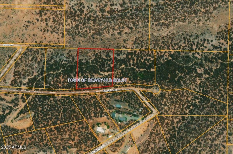 Ariel View