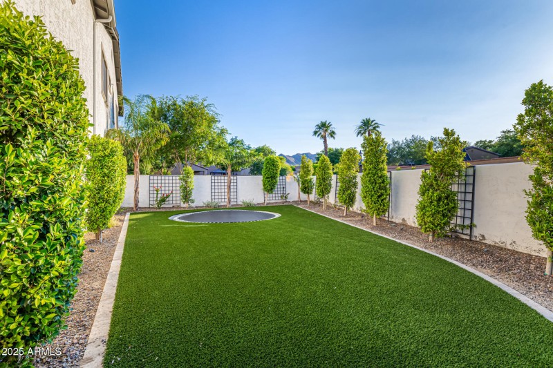 LARGE GRASS AREA