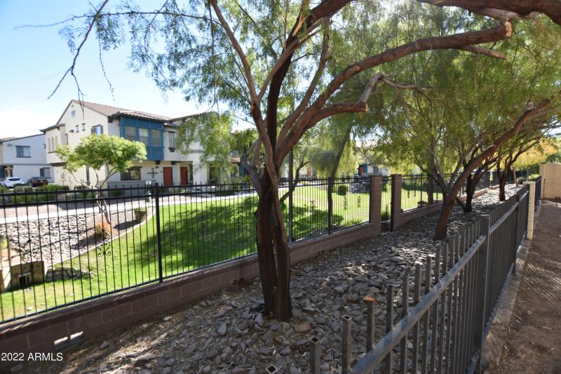 Backyard adjacent to greenbelt