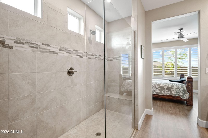 Primary Shower