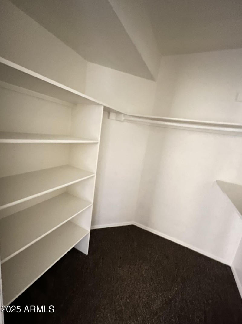 Primary closet
