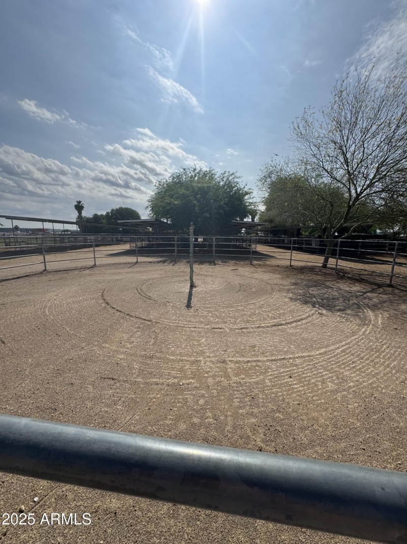 Horse walking area
