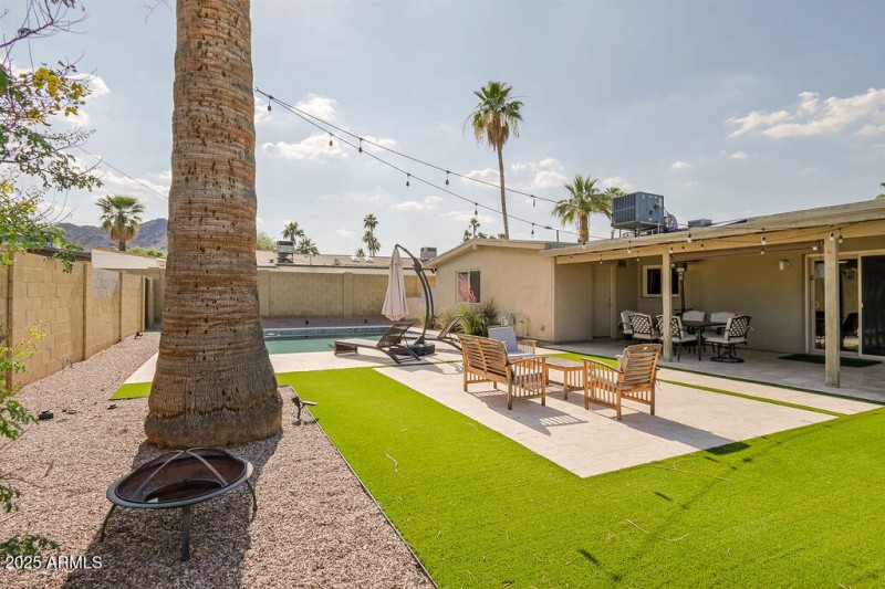 Backyard-2