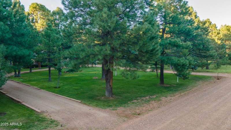 DJI_0977-Enhanced-NR