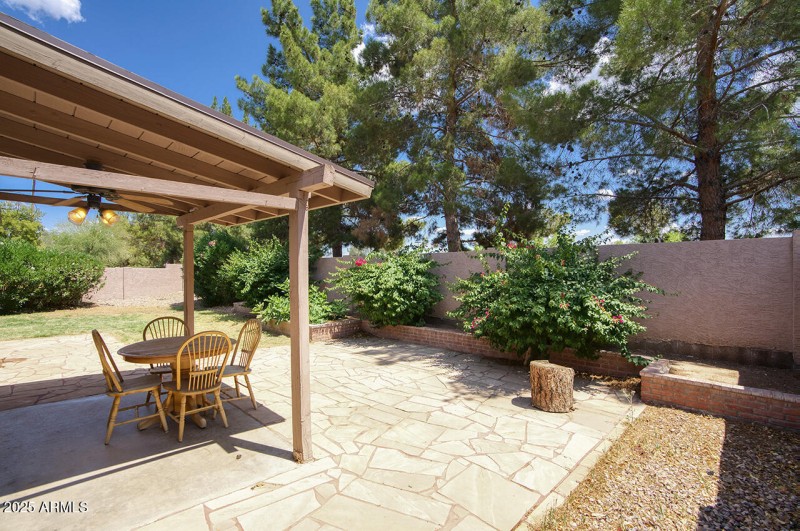 Back Patio