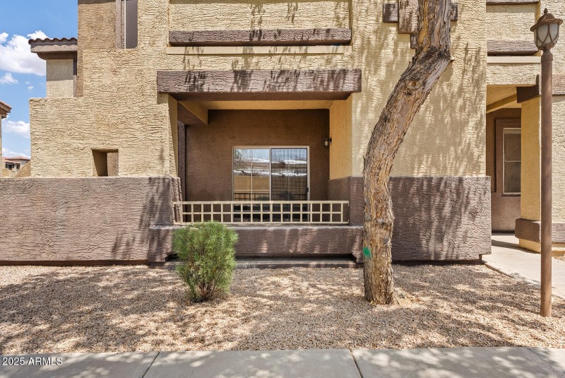 Front Area