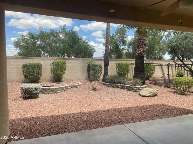 Backyard - 23317 N. Arrellaga Dr.