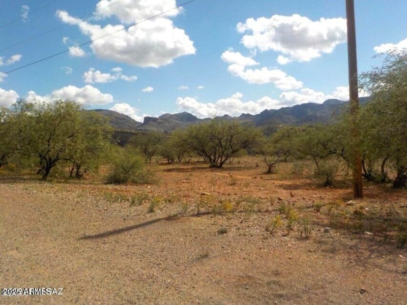 Electric poles at property