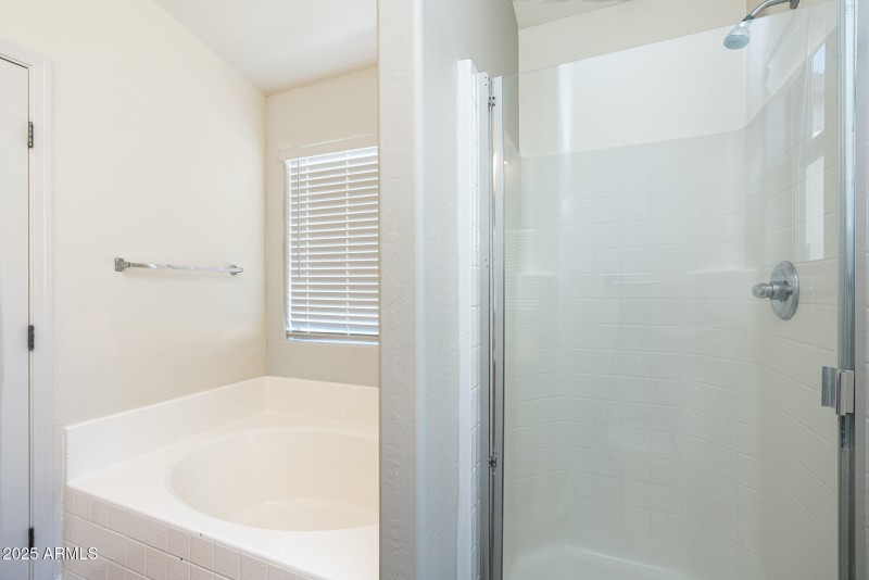 Primary Bath Shower & Bath