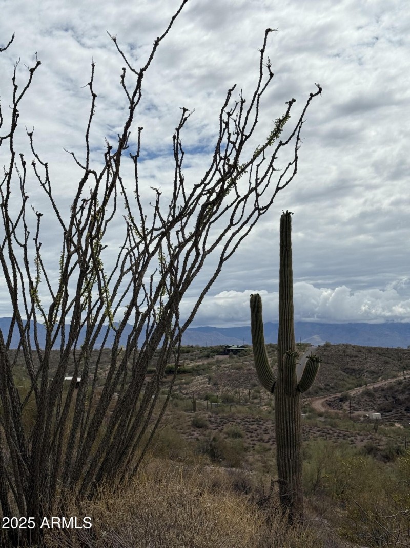 Image 14