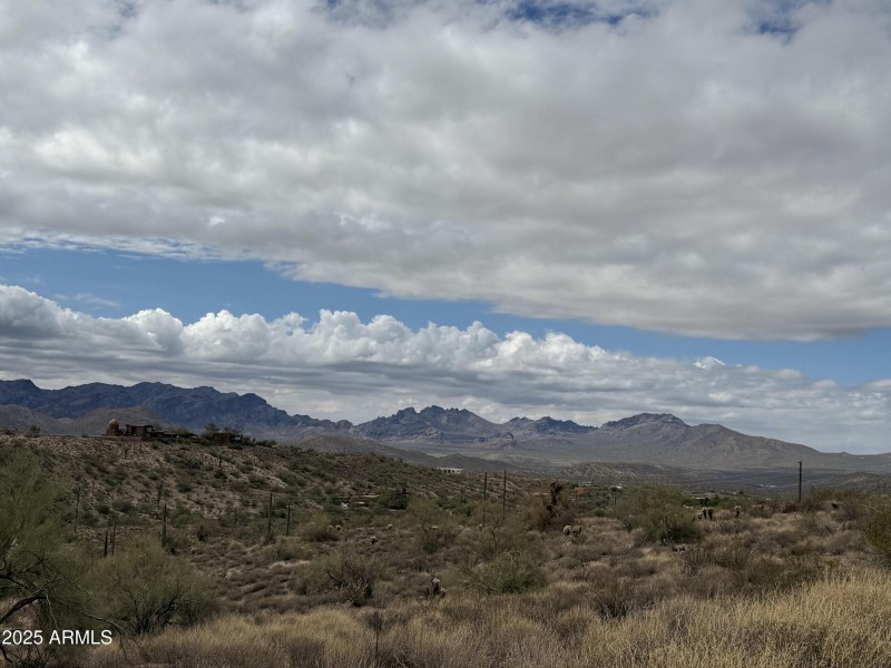 Image 8