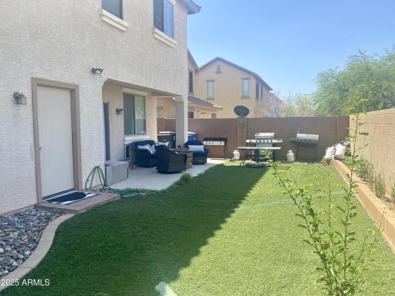 Backyard 154