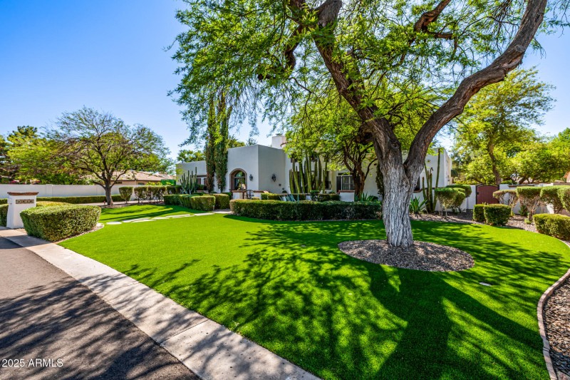 Mature landscaping