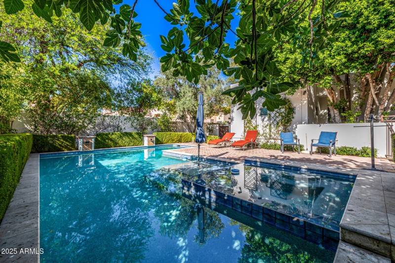 Pool and Spa