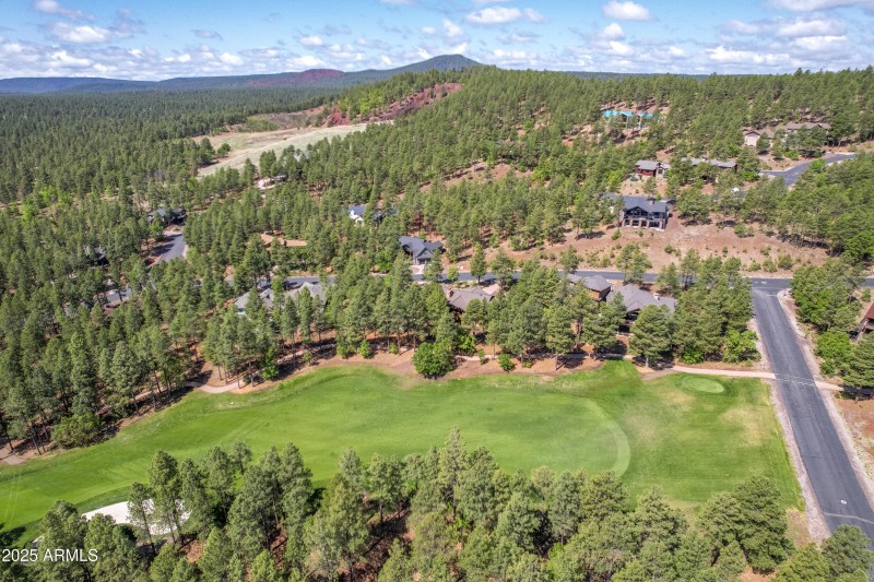 DJI_0061