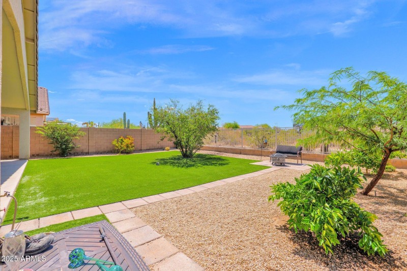 Back Yard