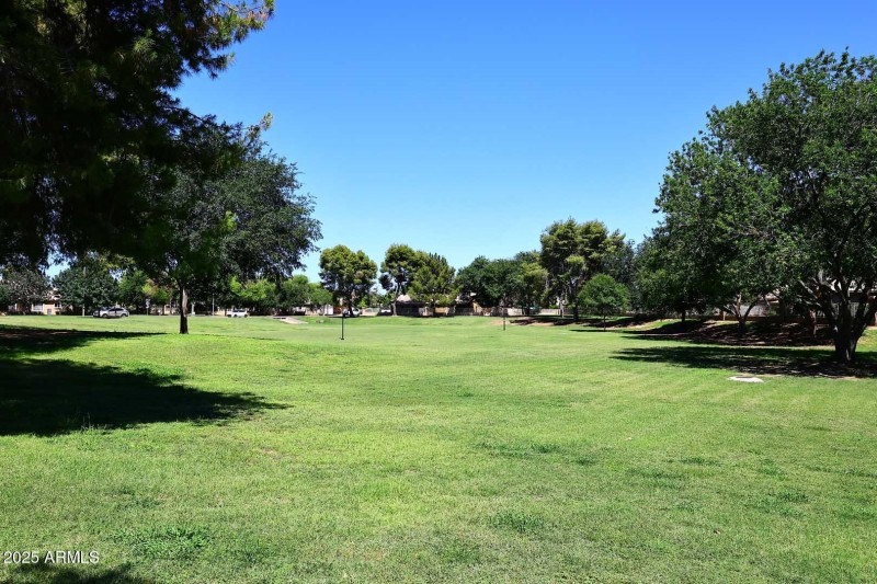 Community Park