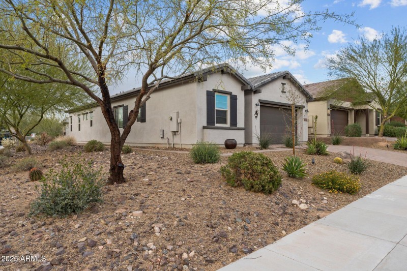 2-web-or-mls-DSC06928