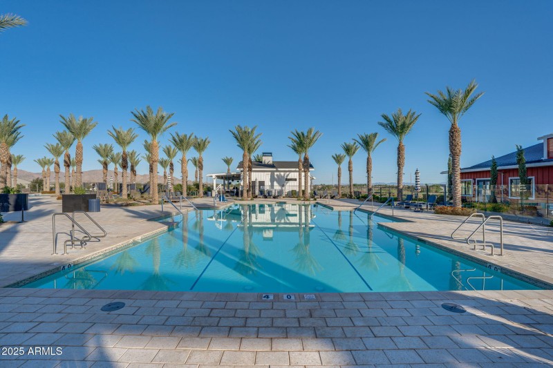 Lap Pool