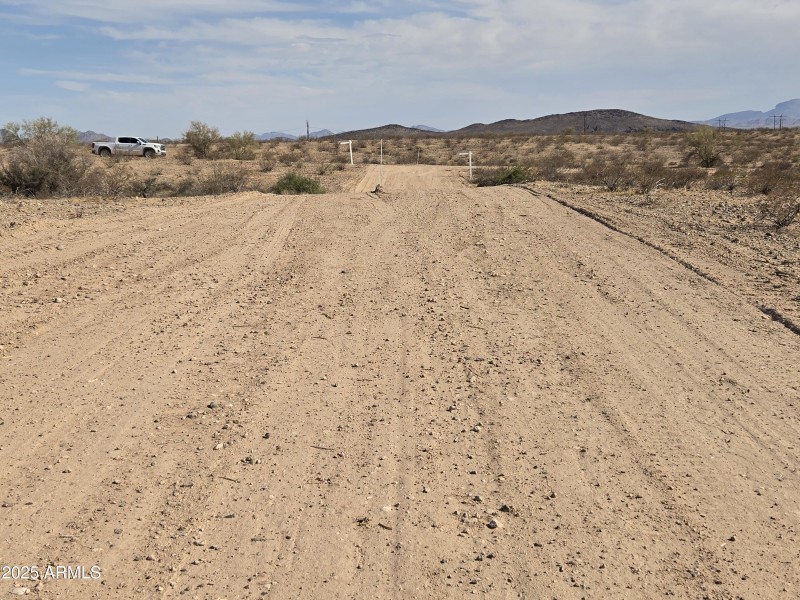 WhatsApp Image 2025-06-06 at 17.59.13_3d