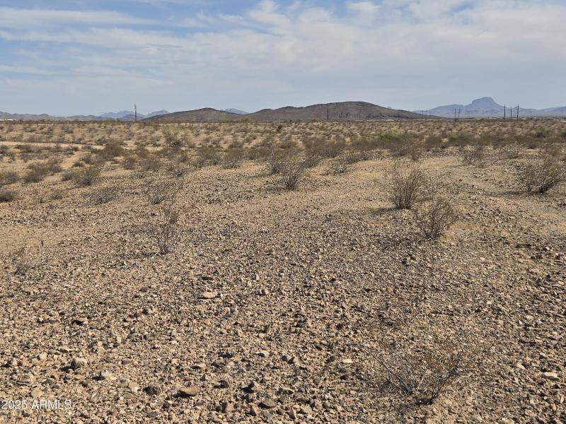 WhatsApp Image 2025-06-06 at 17.59.27_84