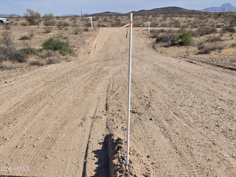 WhatsApp Image 2025-06-06 at 17.59.46_83