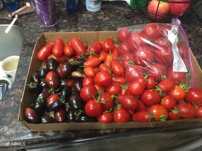 Small tomatoes