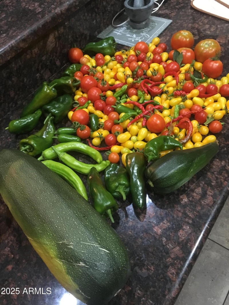 Great Harvest 1