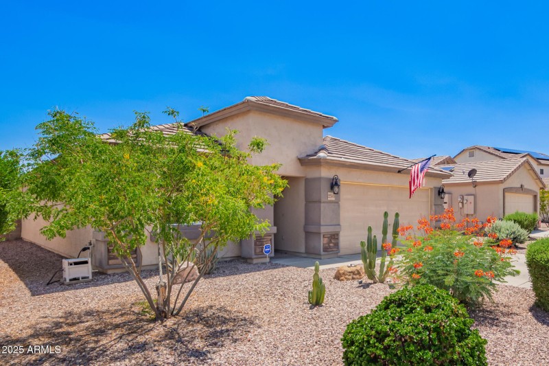 4 - Cocopah