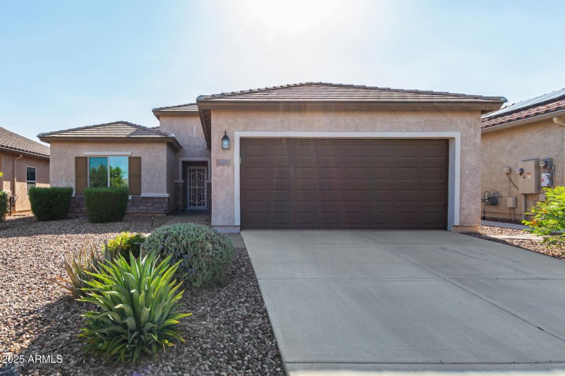 02 - Palo Verde