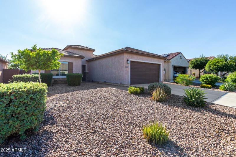 03 - Palo Verde