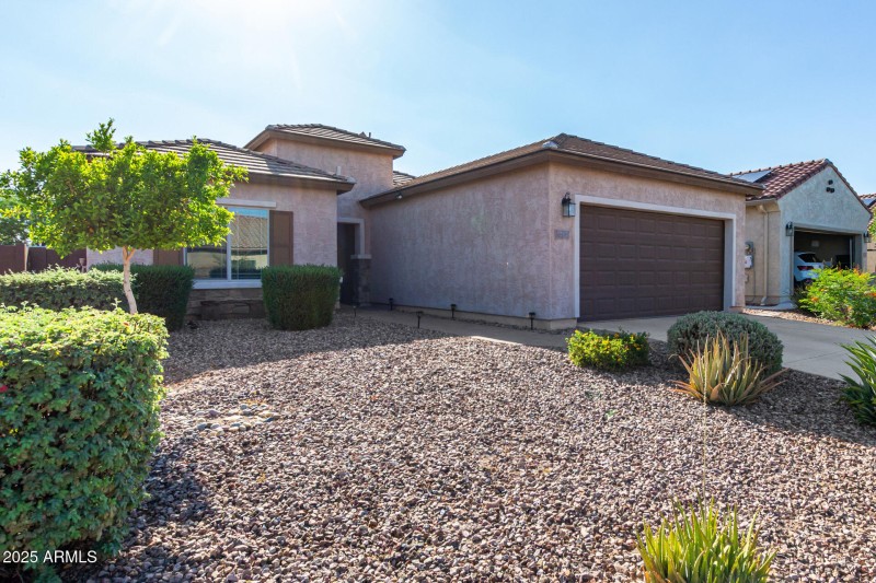 04 - Palo Verde