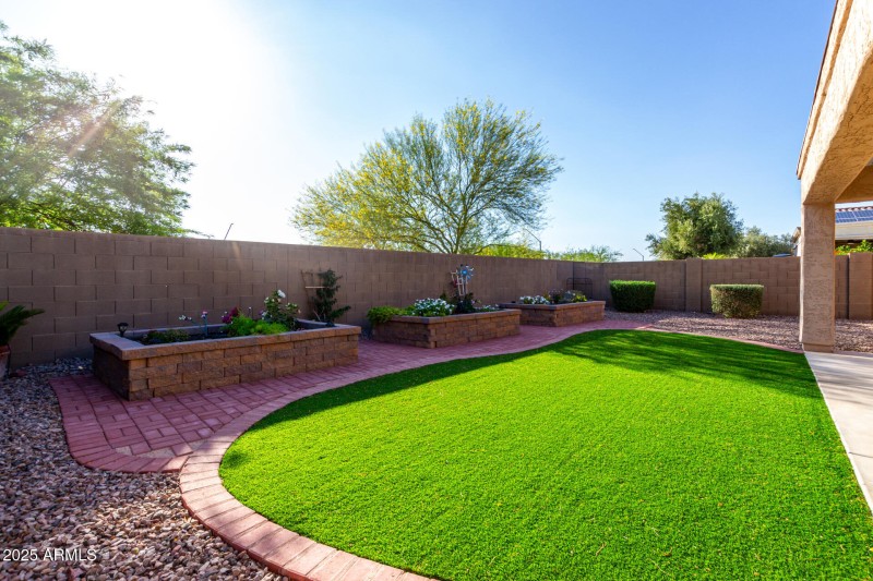 31 - Palo Verde