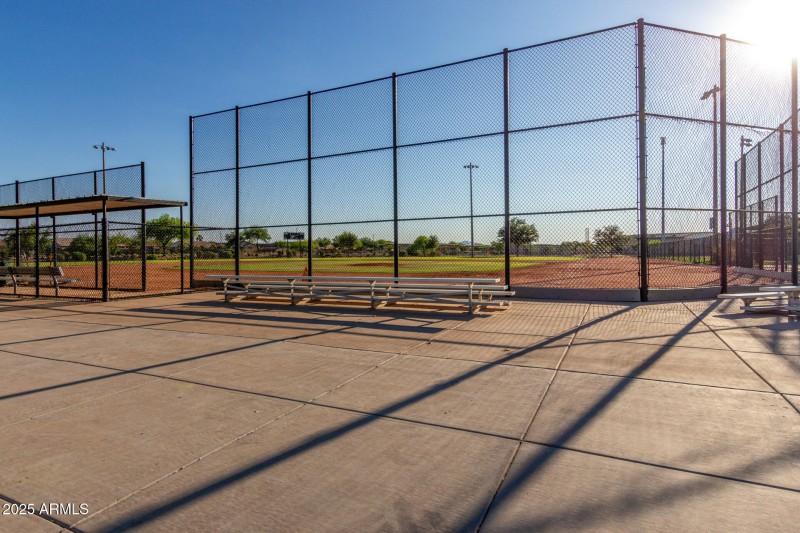 35 - Palo Verde