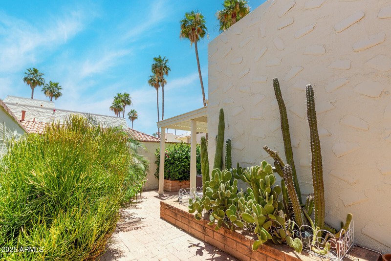 side yard