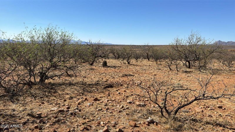 235c5e65-1c04-4121-8b20-5262049e5e61