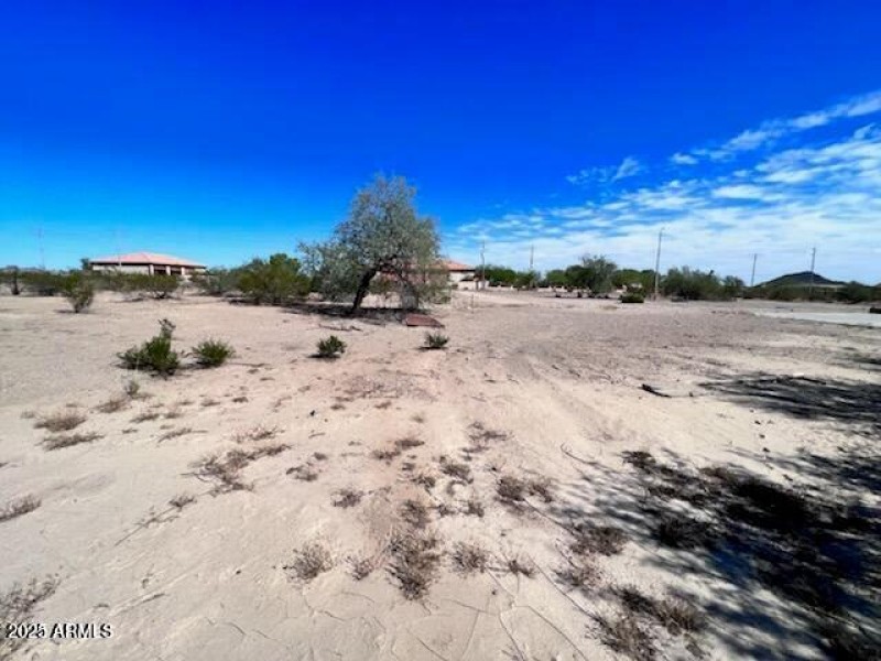 29640 N 161st Ave (7)