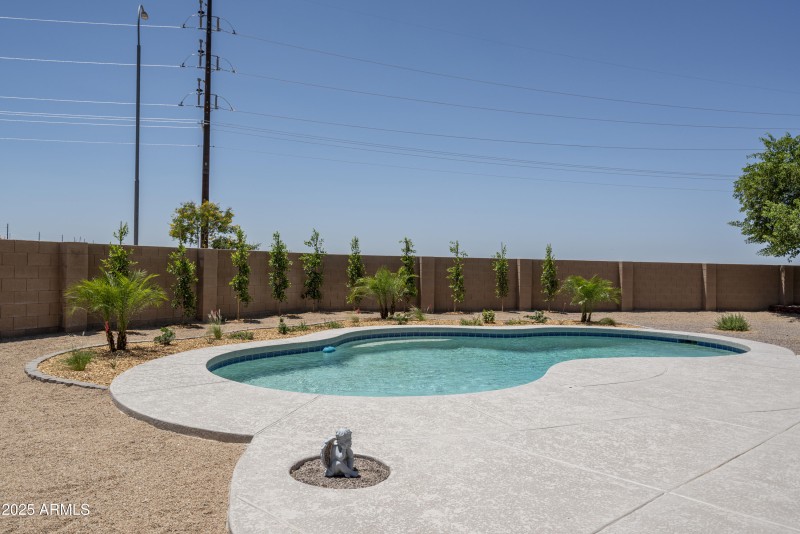 Pool Photo 3