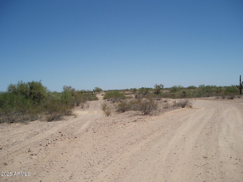 P6070012