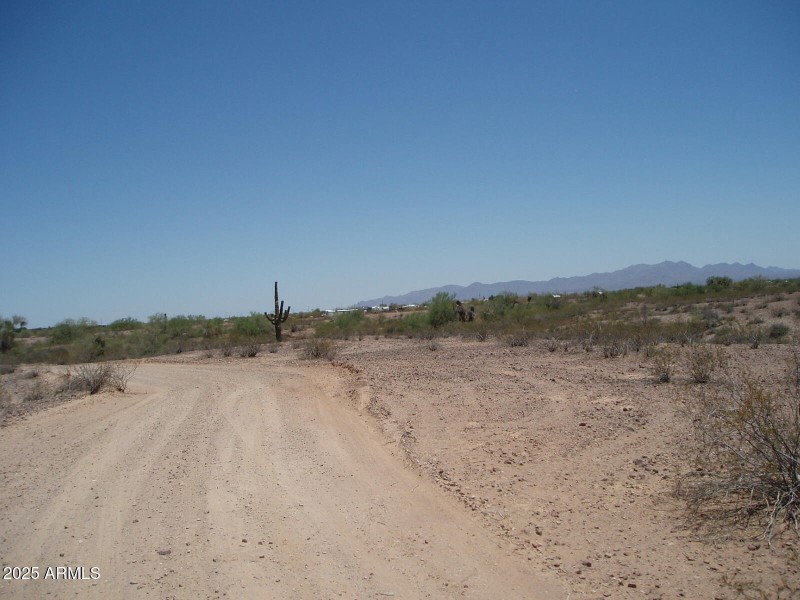 P6070013