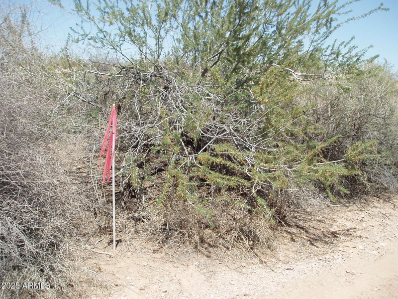 P6070014