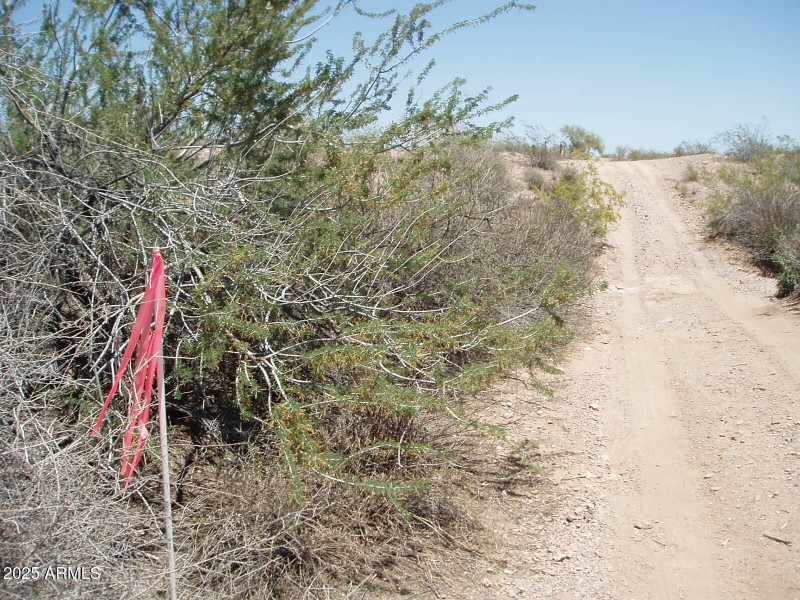 P6070015