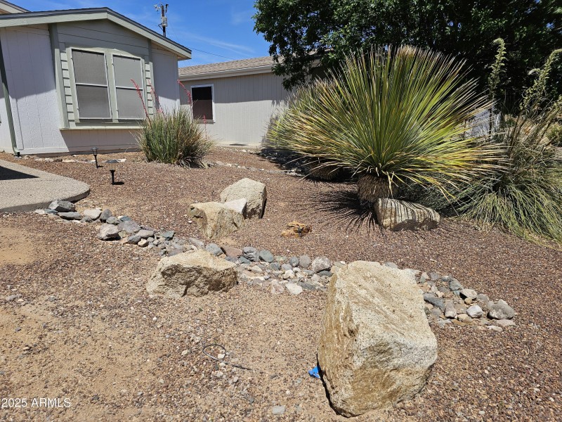 Front Yard