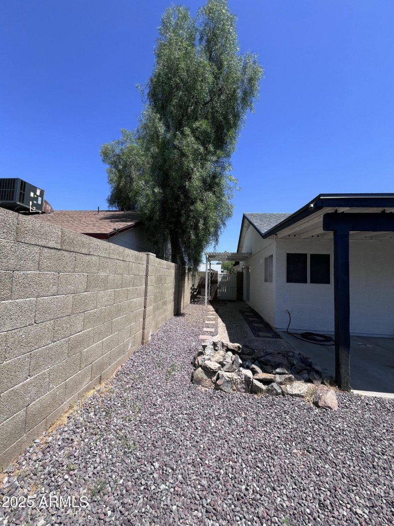 Backyard Pic3