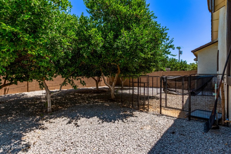 02 Orangewood