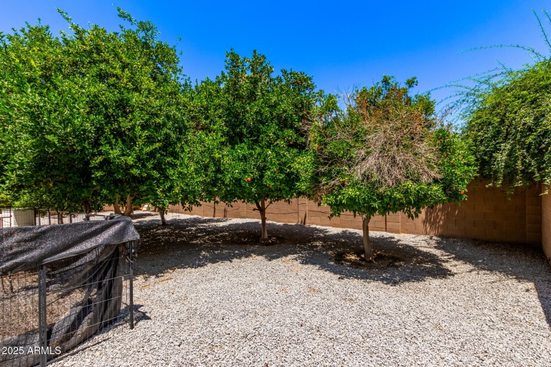 03 Orangewood