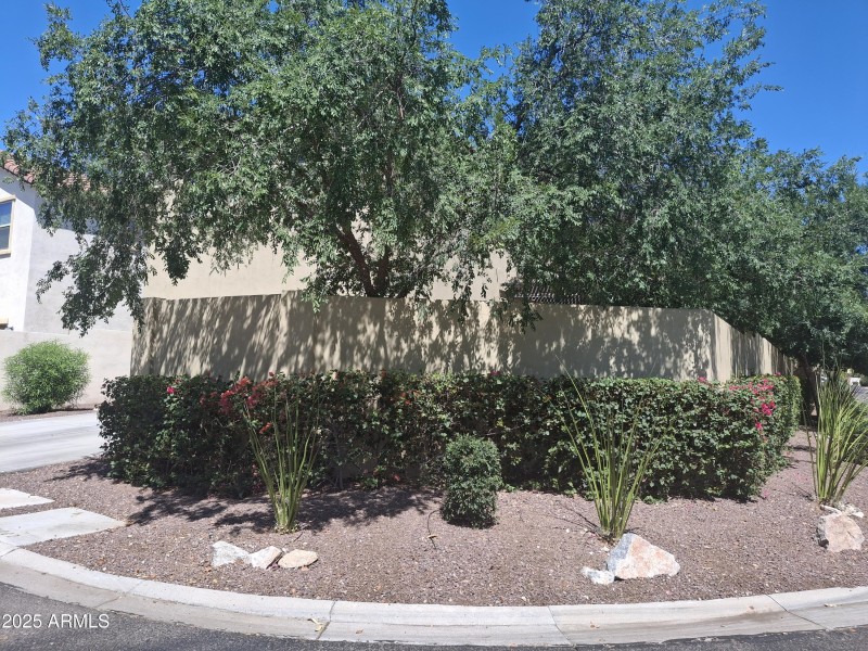 Manicured yard