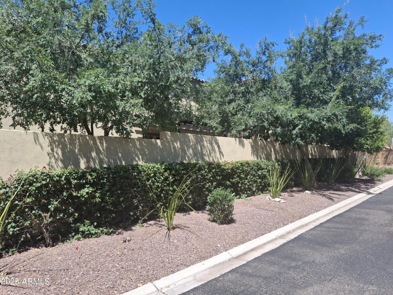 Privacy yard