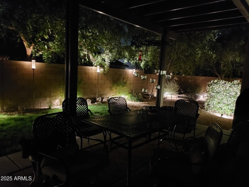 Enjoy the Night