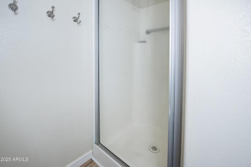 Guest Shower